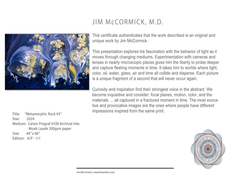 Metamorphic Rock #5 - Certificate of Authenticity