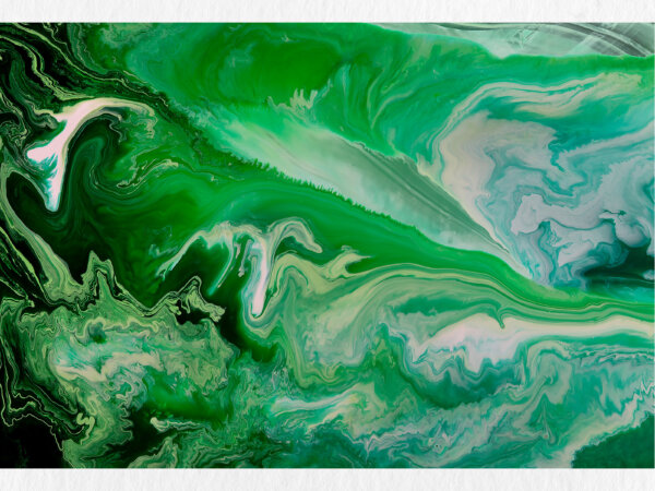 The Jade Wave - Print Edition